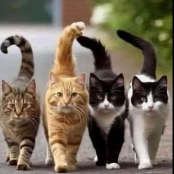 βπ·π Send ALL OFFERβS! I want you to get ποΈποΈ what you πLoveπ! - Picture 6 of 11